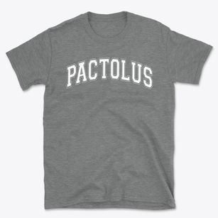 Pactolus School Varsity Arch Basic T-Shirt