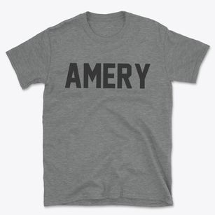 Amery Wisconsin Classic Block Basic T-Shirt