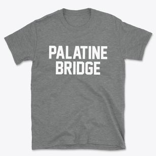 Palatine Bridge New York Classic Block Basic T-Shirt