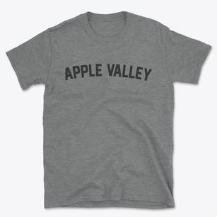 Apple Valley Ohio Classic Curve Basic T-Shirt