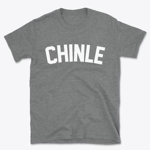 Chinle Arizona Classic Curve Basic T-Shirt