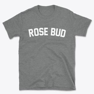 Rose Bud Arkansas Classic Curve Basic T-Shirt