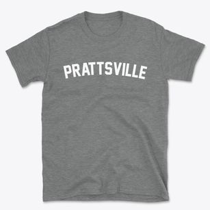 Prattsville Arkansas Classic Curve Basic T-Shirt