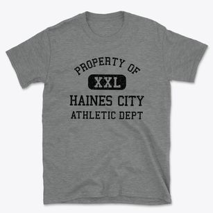 Haines City Florida Athletic Dept Basic T-Shirt