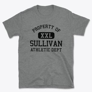 Sullivan New Hampshire Athletic Dept Basic T-Shirt