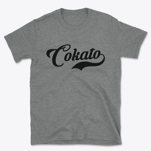 Cokato Minnesota Vintage Team Basic T-Shirt