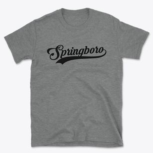 Springboro Ohio Vintage Team Basic T-Shirt