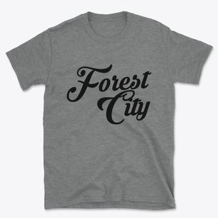Forest City Missouri Vintage Team Basic T-Shirt