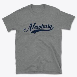Newbury New Hampshire Vintage Team Basic T-Shirt
