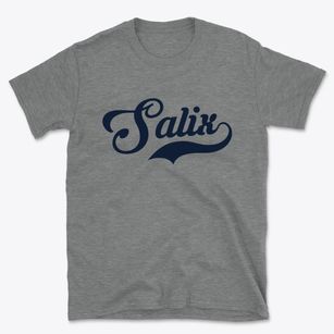 Salix Pennsylvania Vintage Team Basic T-Shirt