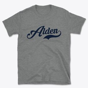 Alden Michigan Vintage Team Basic T-Shirt