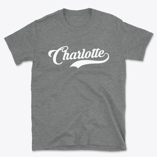 Charlotte Michigan Vintage Team Basic T-Shirt