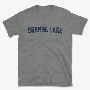 Orange Lake New York Timeless Retro Basic T-Shirt