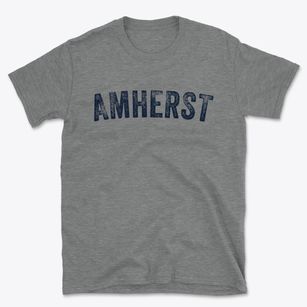 Amherst Ohio Timeless Retro Basic T-Shirt