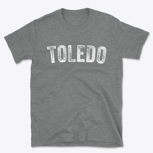 Toledo Iowa Timeless Retro Basic T-Shirt