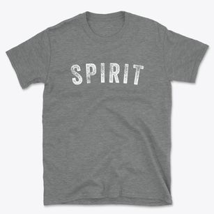 Spirit Wisconsin Timeless Retro Basic T-Shirt