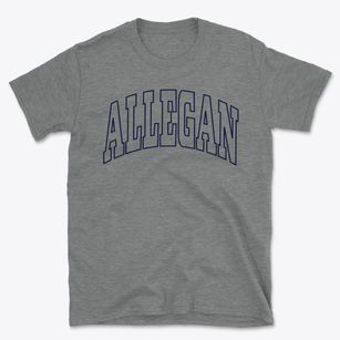 Allegan Michigan Trendy Block Basic T-Shirt