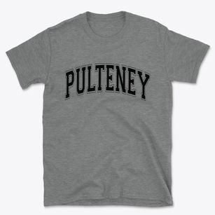 Pulteney New York Varsity Basic T-Shirt