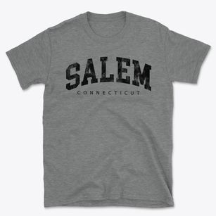 Salem Connecticut Urban Vibe Basic T-Shirt