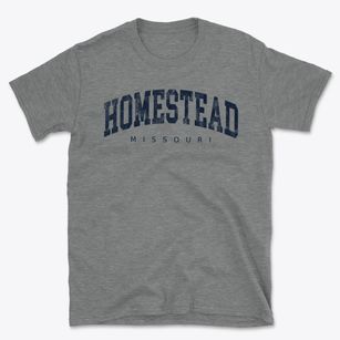 Homestead Missouri Urban Vibe Basic T-Shirt