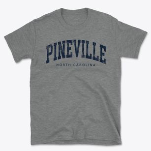 Pineville North Carolina Urban Vibe Basic T-Shirt