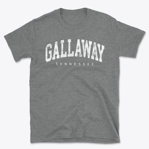 Gallaway Tennessee Urban Vibe Basic T-Shirt