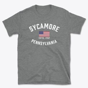 Sycamore Pennsylvania Patriot Basic T-Shirt