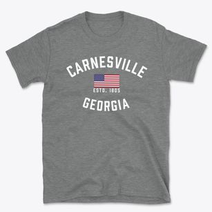 Carnesville Georgia Patriot Basic T-Shirt