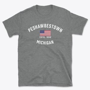 Peshawbestown Michigan Patriot Basic T-Shirt