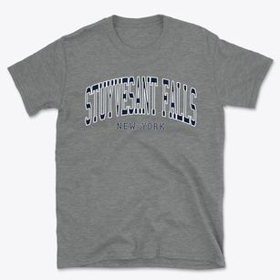 Stuyvesant Falls New York Traditional Basic T-Shirt