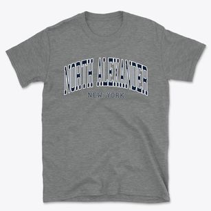 North Alexander New York Traditional Basic T-Shirt