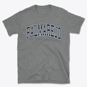 Palmarejo Puerto Rico Traditional Basic T-Shirt
