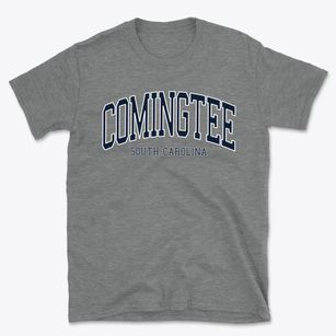Comingtee South Carolina Traditional Basic T-Shirt