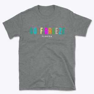 Gulf Breeze Florida Color Pop Basic T-Shirt