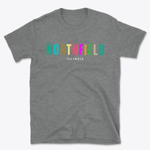 Northfield Illinois Color Pop Basic T-Shirt
