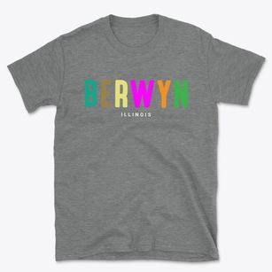 Berwyn Illinois Color Pop Basic T-Shirt