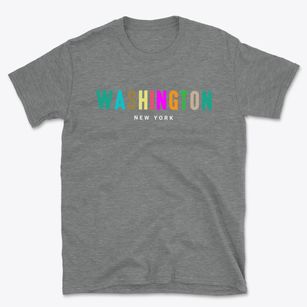 Washington New York Color Pop Basic T-Shirt