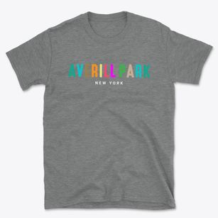Averill Park New York Color Pop Basic T-Shirt