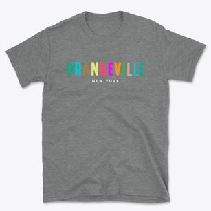 Orangeville New York Color Pop Basic T-Shirt