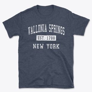 Vallonia Springs New York Classic Established Basic T-Shirt