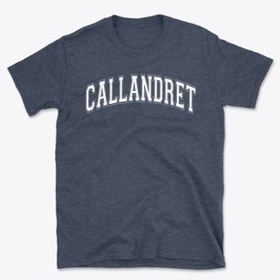 Callandret Special Ed School Varsity Arch Basic T-Shirt