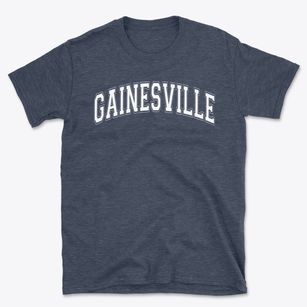 Gainesville Country Day School Varsity Arch Basic T-Shirt