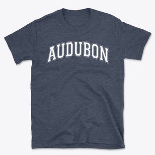 Audubon Middle School Varsity Arch Basic T-Shirt