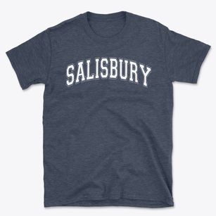 Salisbury Elementary School Varsity Arch Basic T-Shirt