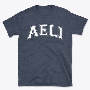 Academy For Early Learning Independent Chartered School Varsity Arch Basic T-Shirt