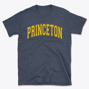 Princeton Public School Varsity Arch Basic T-Shirt