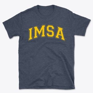Illinois Mathematics And Science Academy Varsity Arch Basic T-Shirt