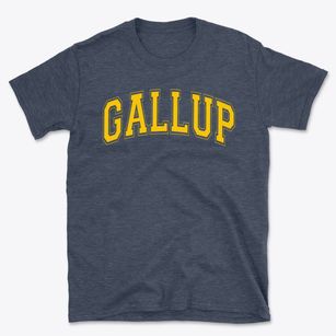 Gallup Catholic School Varsity Arch Basic T-Shirt