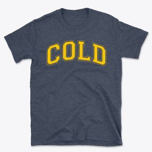 Cold Spring Harbor Elementary School Varsity Arch Basic T-Shirt