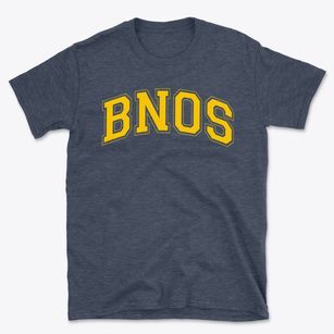 Bnos Israel Girls School Varsity Arch Basic T-Shirt
